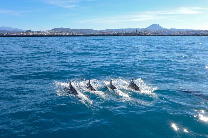 Private luxury Escape Sailing, Snorkel and Lunch Cruise - The run to Dia Island