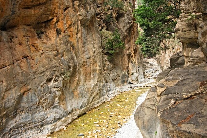 Private Roundtrip Transfer from Chania to Samaria Gorge Park - Starting between 6:00 and 8:00 a.m. in Chania