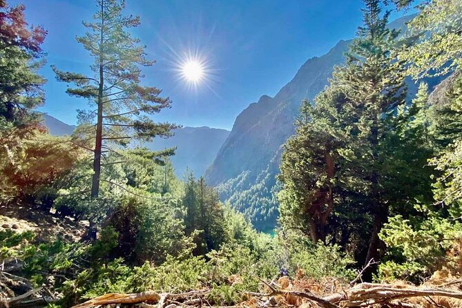 Private Roundtrip Transfer from Chania to Samaria Gorge Park - Who should book this Samaria Gorge day