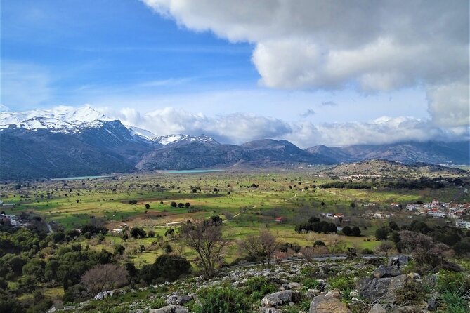 Private Tour-Authentic Villages of Lasithi Olive Oil and Wine - Olive oil at Omalia Olive Press