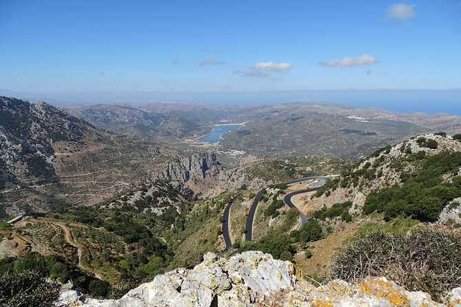 Private Tour-Knossos Palace Zeus Cave Olive Oil Mill & Wine - Krasi’s ancient plane tree
