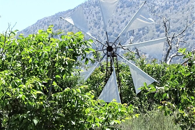 Private Tour-Knossos Palace Zeus Cave Olive Oil Mill & Wine - Coffee and village conversation in Mesa Lasithi