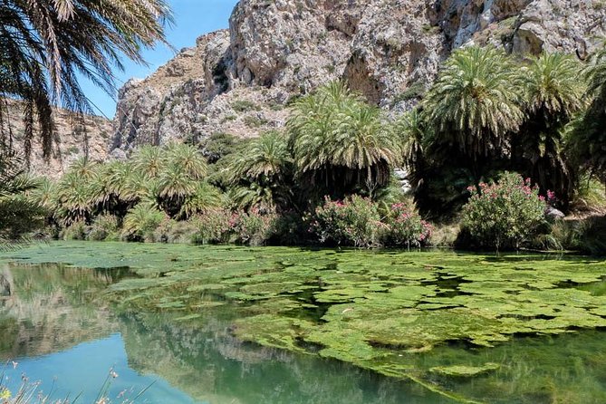 Private Tour Rethymno: Spili, Preveli, Kourtaliotiko, Old Town - What the private price really buys you