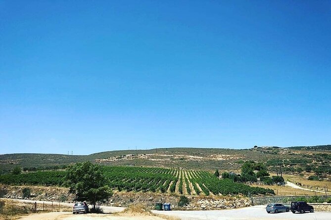 Private Tour: Soap, Olive Oil & Lyrarakis Winery with Lunch - Pickup and the 9:30 a.m. start