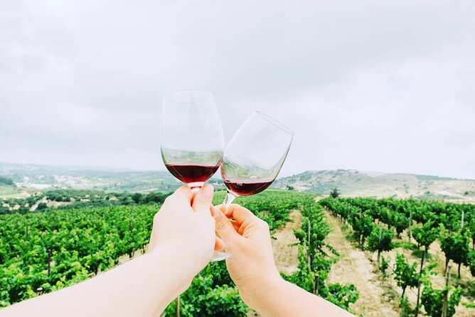 Private Tour: Soap, Olive Oil & Lyrarakis Winery with Lunch - Who will enjoy this Peza outing