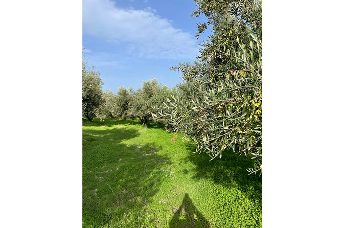Private Traditional Olive Grove and Dragon Fruit Farm Tour - What your $9.61 really buys