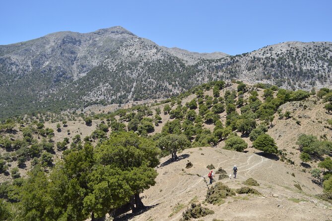 Private Trekking Rouvas Gorge - Key points to know before you book
