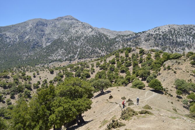 Private Trekking Rouvas Gorge - What the private format adds