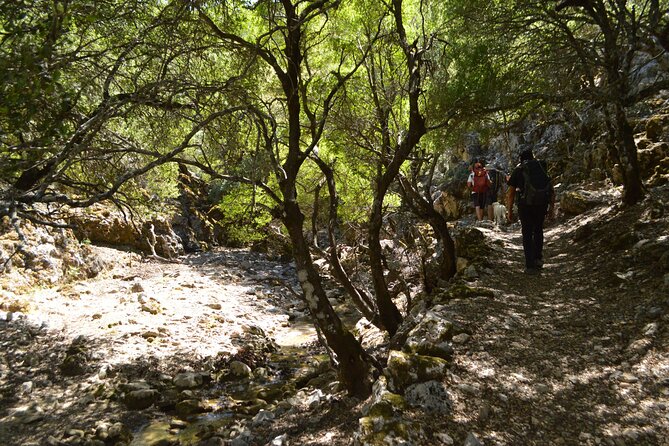 Private Trekking Rouvas Gorge - Transport, equipment, and what to bring