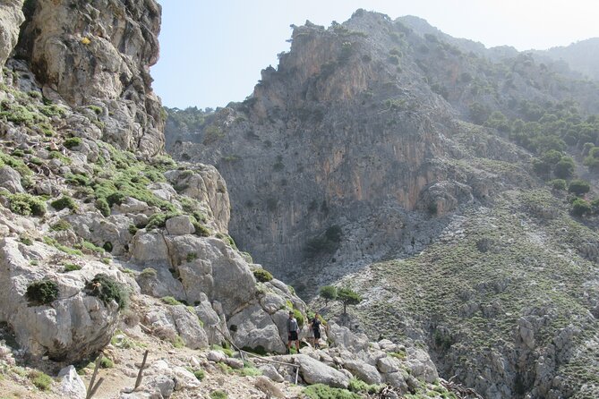 Private Trekking Rouvas Gorge - Reaching the holy forest of Rouvas after five kilometers