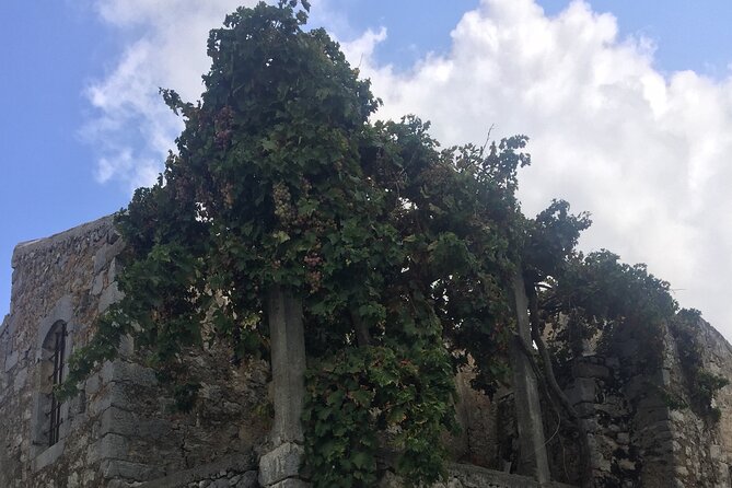 PRIVATE-Winery+Olive Oil Factory-Old Villages-Old Wind Mills - The Winery Visit and Five-Wine Option