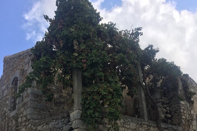 PRIVATE-Zeus Birthplace-Traditional Villages-Olive Oil Factory - Malia and Hersonissos, then inland