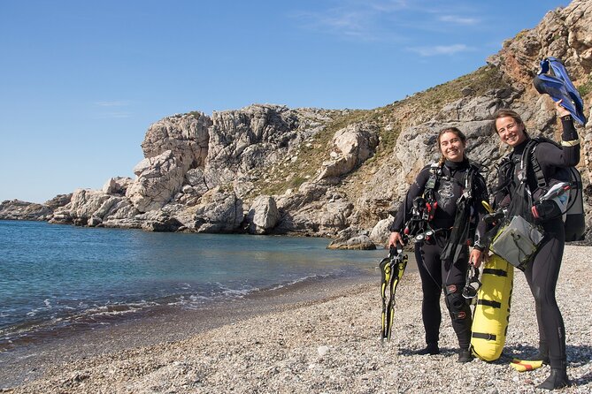 Research diving with a Marine Biologist in Crete - Souda Beach: beginning with observation