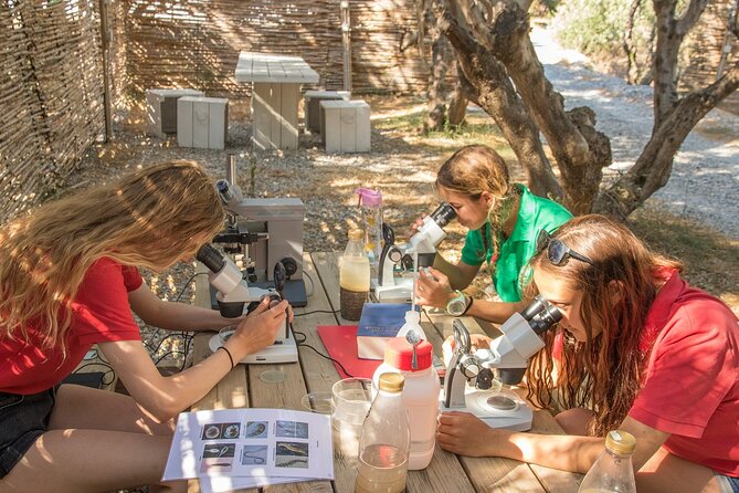 Research diving with a Marine Biologist in Crete - How the price measures up