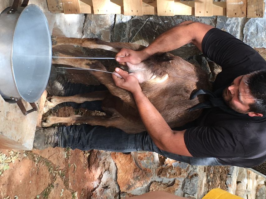 Rethymno 4x4 Safari: Tastes & Farm Experience - Why this safari feels different from a standard Crete tour