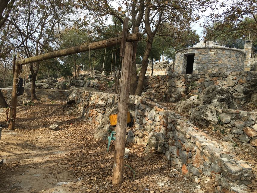 Rethymno 4x4 Safari: Tastes & Farm Experience - Melidoni Olive Oil Mill, from tree to bottle