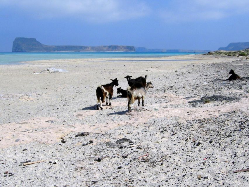 Rethymno: Gramvousa & Balos Lagoon Day Trip with Boat Ticket - The early ride from Rethymno to Kissamos