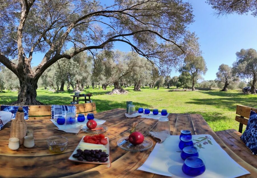 Rethymno: Olive Oil Tasting with Cretan Food Pairing - Learning to taste four olive oils