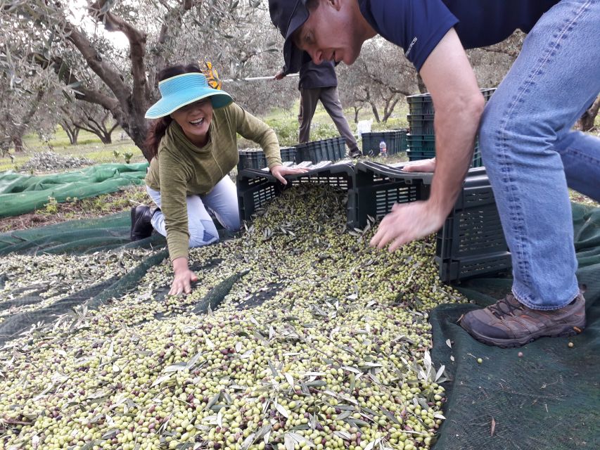 Rethymno: Olive Oil Tasting with Cretan Food Pairing - The practical drawbacks to plan around