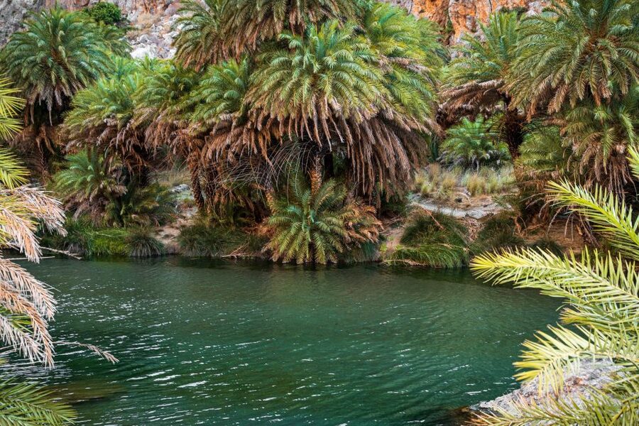 Rethymno: Preveli Beach Damnoni Beach Kourtaliotiko Day Trip - Who Will Enjoy This Tour Most