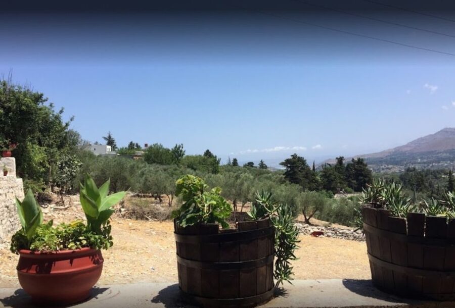 Rethymno: Private Winery & Olive Oil Tasting Tour with Lunch - From Rethymno to the Cretan table