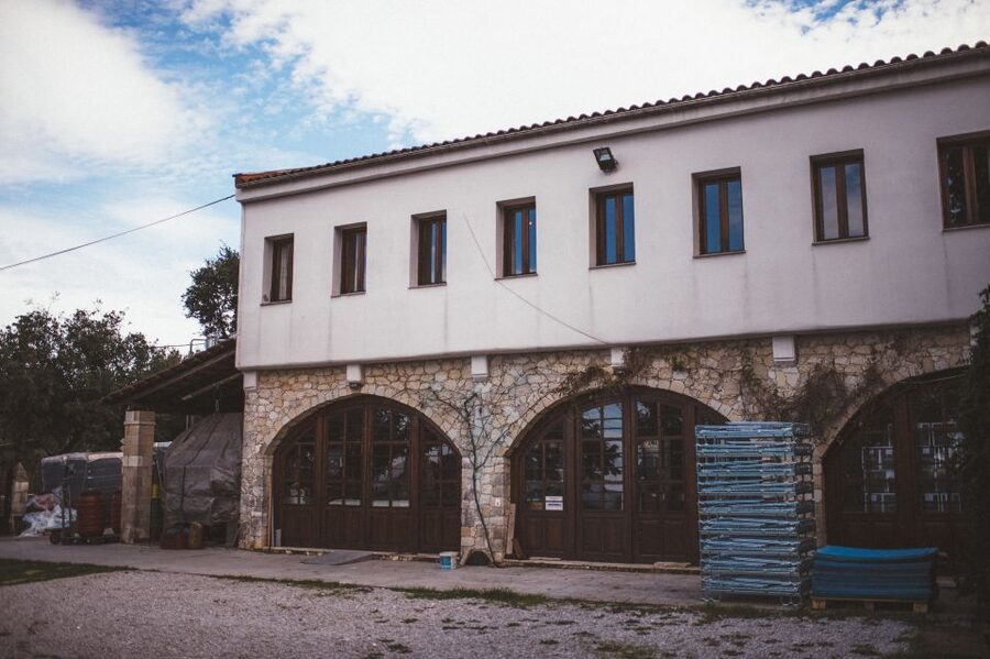 Rethymno: Private Winery & Olive Oil Tasting Tour with Lunch - Who should book this outing?