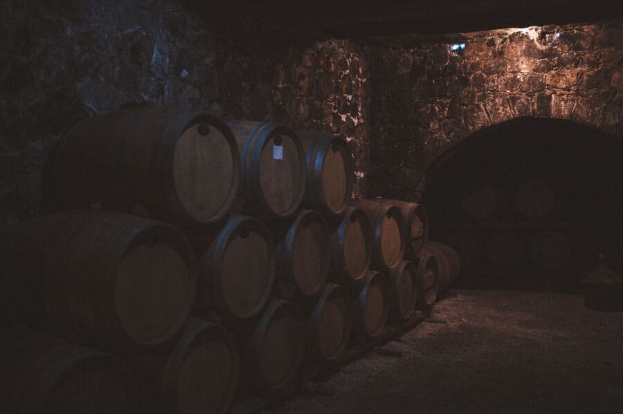 Rethymno: Private Winery & Olive Oil Tasting Tour with Lunch - Seeing how Cretan olive oil is made