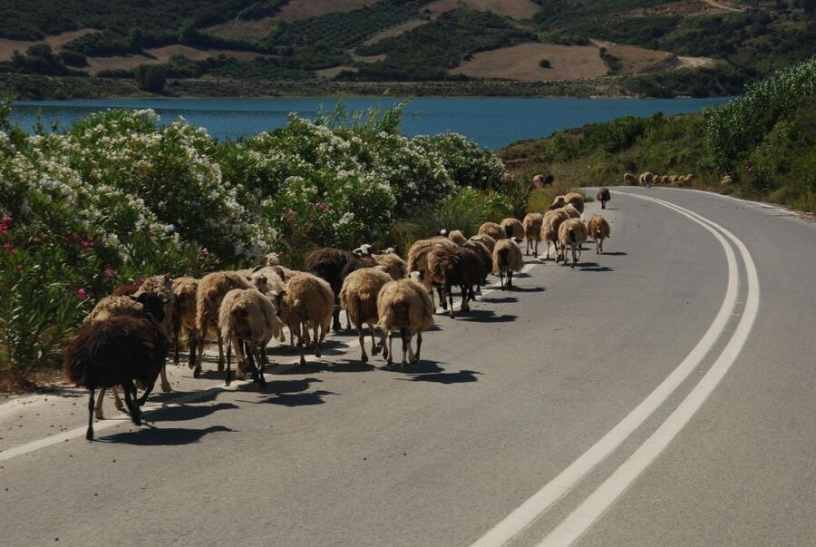Rethymno | Safari Tour in Private - Fragma Potamon gives you a quiet photo stop