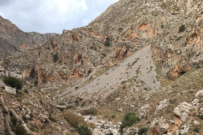 Rethymno Tour - VIP Private Tour - Preveli Beach and its palm forest