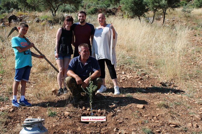 Rethymnon Olive Tree Sponsorship Protect and Plant Tour - Why an olive tree makes a meaningful Cretan souvenir