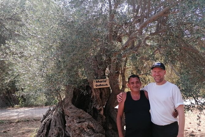 Rethymnon Olive Tree Sponsorship Protect and Plant Tour - Reaching the grove and choosing your tree