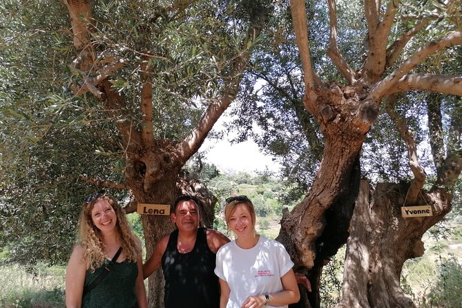 Rethymnon Olive Tree Sponsorship Protect and Plant Tour - Planting a Cretan Lazarus olive tree