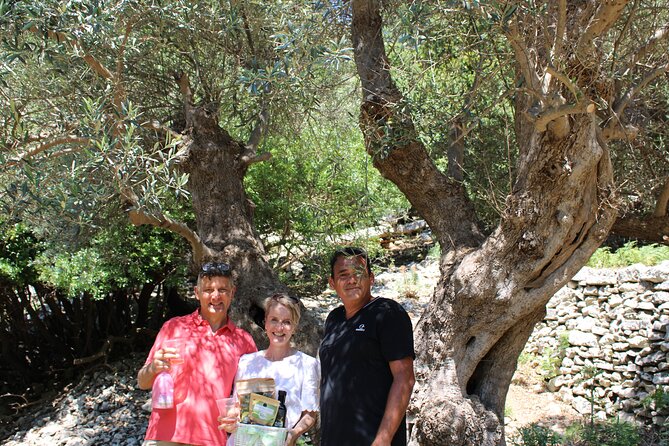 Rethymnon Olive Tree Sponsorship Protect and Plant Tour - The toast, photos, and the feeling of occasion