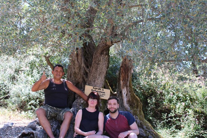 Rethymnon Olive Tree Sponsorship Protect and Plant Tour - Who should choose sponsorship, and who should plant
