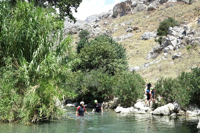 River Trekking at Kourtaliotiko Gorge - Wildlife along the quieter middle section