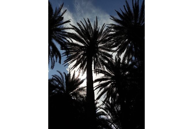 RIVIERA - Vai Palm Beach, Toplou Monastery - Vai Palm Forest and beach time