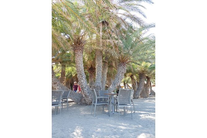 RIVIERA - Vai Palm Beach, Toplou Monastery - Lunch with a view of eastern Crete
