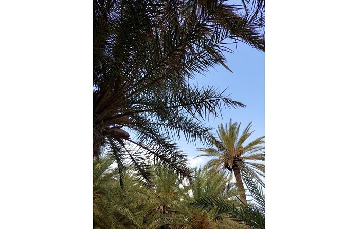 RIVIERA - Vai Palm Beach, Toplou Monastery - Sunset at Platanos