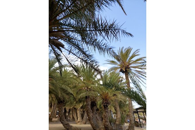 RIVIERA - Vai Palm Beach, Toplou Monastery - Guides, group size, and the feel of the day