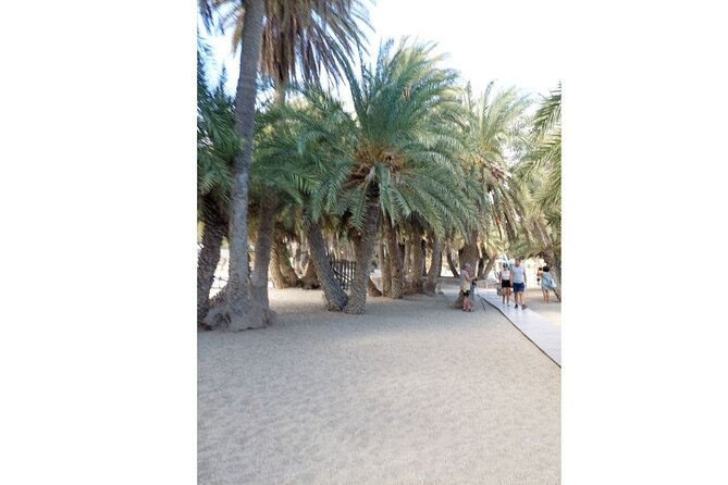 RIVIERA - Vai Palm Beach, Toplou Monastery - Who should book this Vai excursion?
