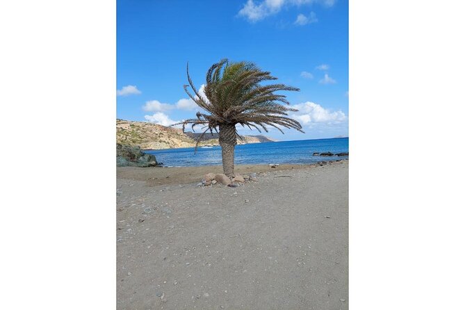 RIVIERA - Vai Palm Beach, Toplou Monastery - Toplou Monastery and its working cellar