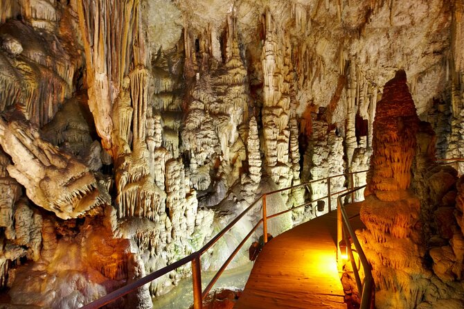 Road-trip to Lasithi, Zeus Cave, Vidiani, Krasi & Olive Mill Farm - Key points to know before booking