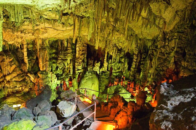 Road-trip to Lasithi, Zeus Cave, Vidiani, Krasi & Olive Mill Farm - Guides, group size, and the quality of explanations