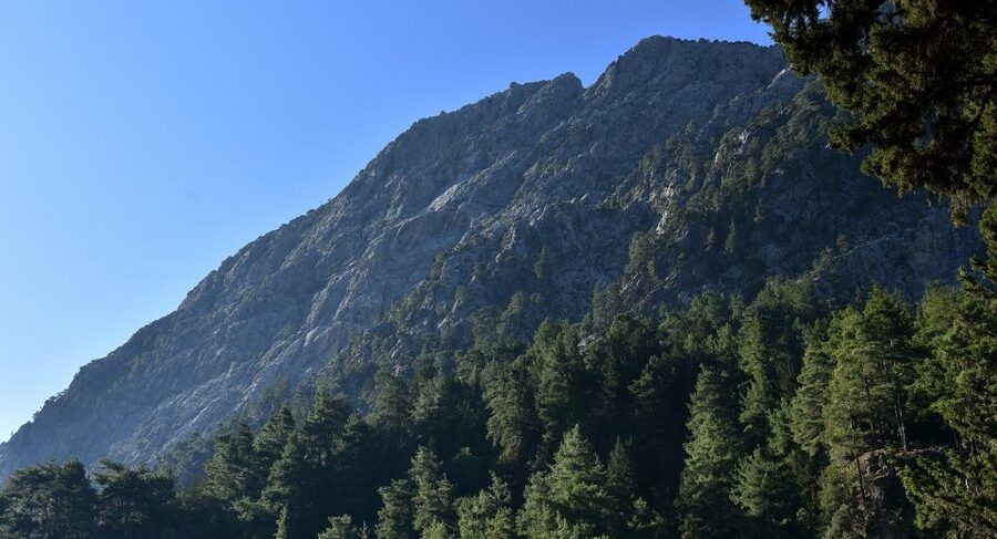 Samariá Gorge Hike: Day Excursion from Chania - Starting the 18-kilometer walk