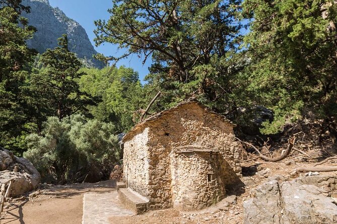 Samaria Gorge Hiking from Chania with Professional Hiking Guide - Ferry back to Sougia, then the winding bus ride