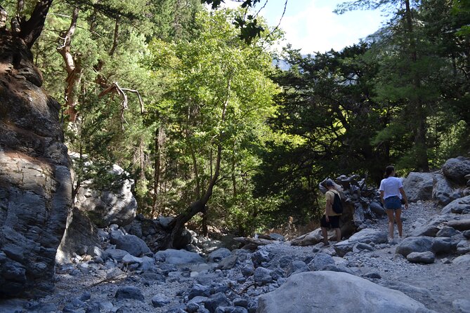 Samaria Gorge Hiking Tour from Chania with Professional Guide - Six hours through Samaria Gorge
