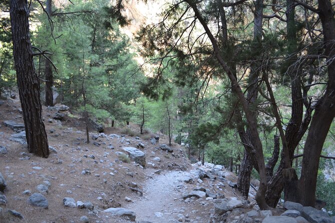 Samaria Gorge Hiking Tour from Chania with Professional Guide - The 5:30 p.m. ferry to Sougia or Sfakia