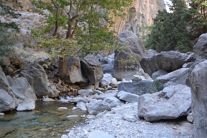 Samaria Gorge Hiking Tour from Chania with Professional Guide - How the guide service affects the day