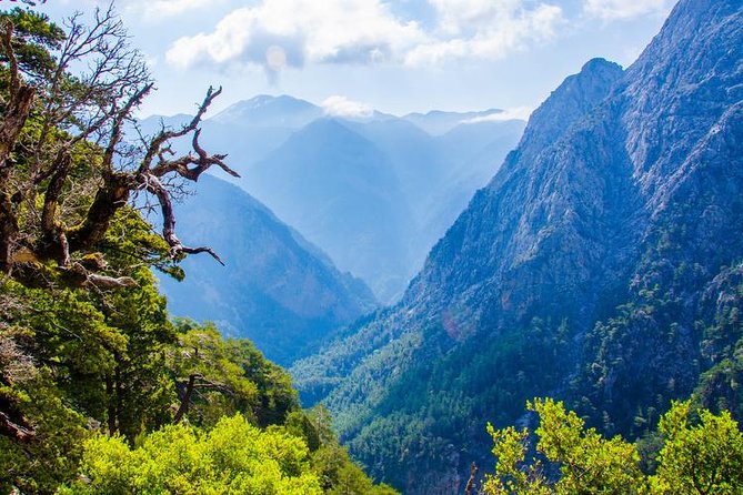 Samaria Gorge Tour from Chania - The Longest Gorge in Europe - How much help does the guide provide?