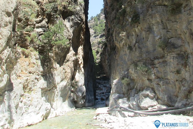 Samaria Gorge Trek: Full-Day Excursion from Rethymno with Guide - The real cost of the $38.45 fare